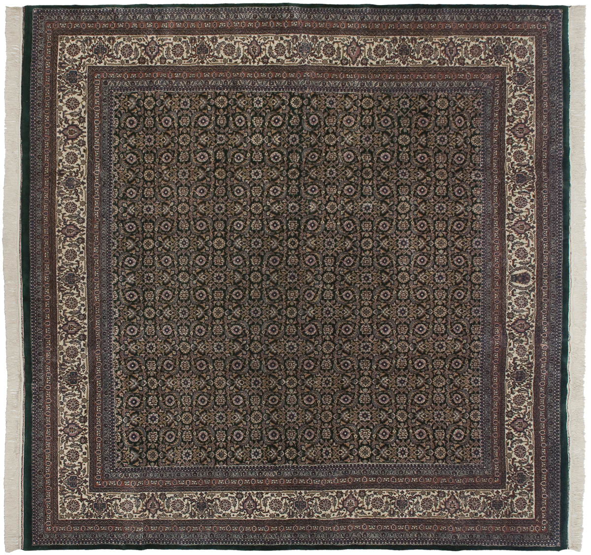 10x10 Bijar Green Oriental Square Rug 030973