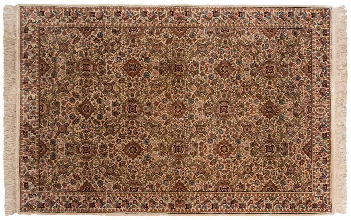 6x9 Aubusson Beige Oriental Rug 032020