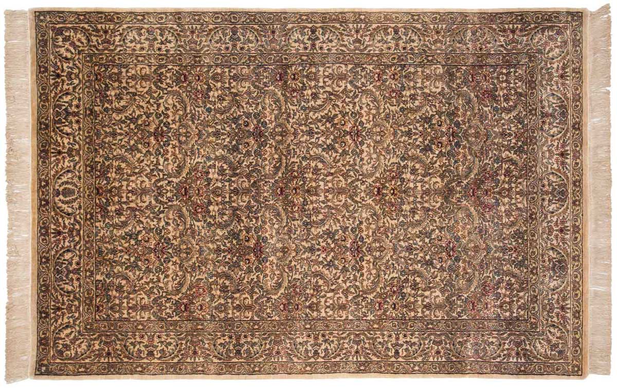 6x9 Baktiari Beige Oriental Rug 032511